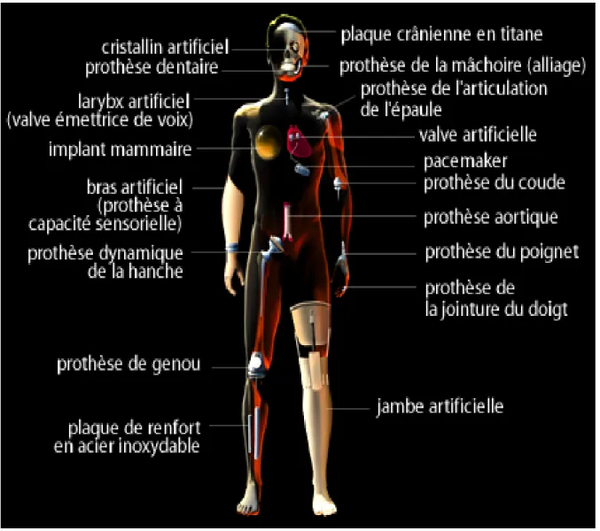 Fig. II.1 : les organes peuvent être remplacés par des biomatériaux [10]. 
