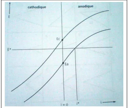 Fig. I.2 : Diagramme densité de courant-potentiel. 