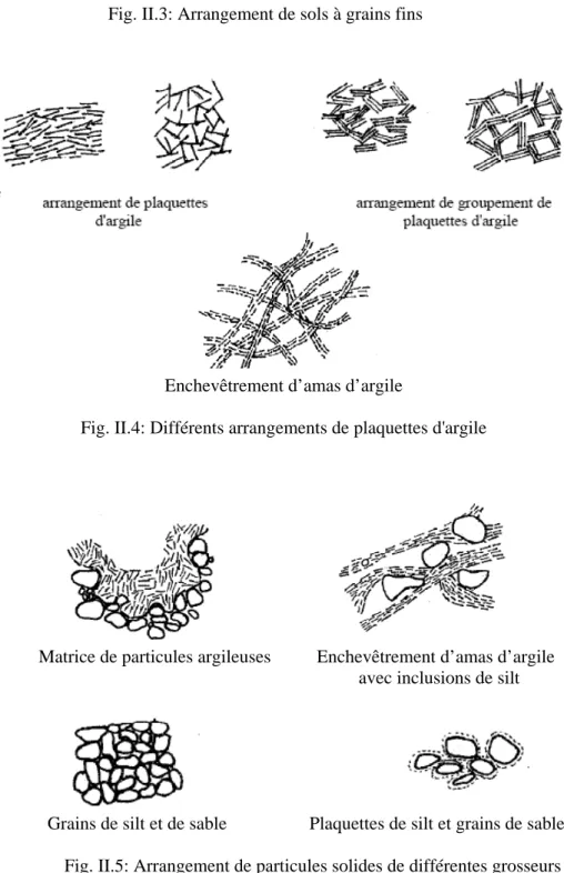 Fig. II.4: Différents arrangements de plaquettes d'argile  