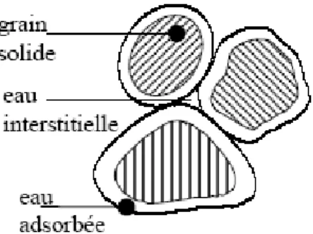 Fig. II.6 : Eau interstitielle et eau absorbée 