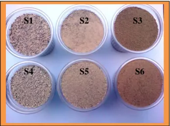 Fig. III.3 : sols de différentes tailles.   