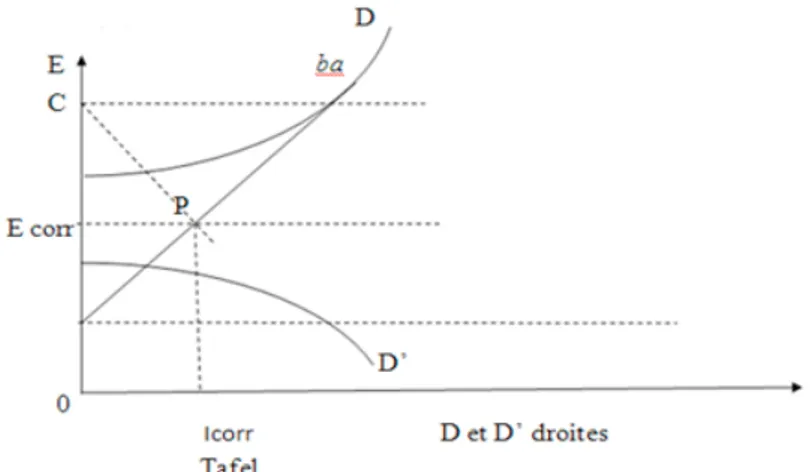 Figure I.9 Détermination de la densité de courant de corrosion à partir du  diagramme d’Evans