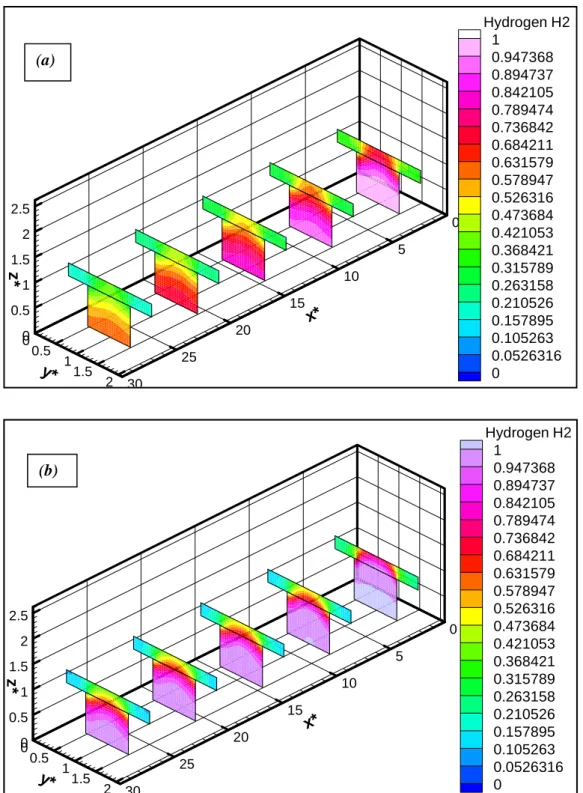 Figure 4.6: répartition du champ des concentrations d’hydrogène pour  un canal simple,  λ=2