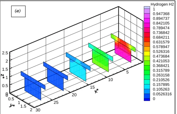 Figure 4.7: répartition du champ des concentrations d’hydrogène pour un canal simple , λ=4  a:  Re=100  ;  b:  Re=1000  00.511.522.5z* 0510152025300x*0.511.52y* Hydrogen H210.9473680.8947370.8421050.7894740.7368420.6842110.6315790.5789470.5263160.4736840.4