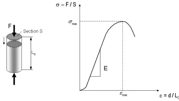 Figure 8. Essai de compression uniaxiale quasistatique sur un cylindre de section S et de   longueur initiale L0 [13] .