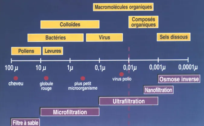 Figure I.3 : Représentation de la gamme d’utilisation de différentes   particules vis-à-vis des membranes