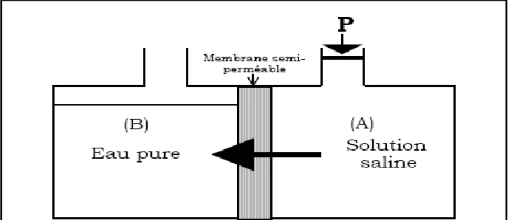 Figure I.5 : Osmose inverse 