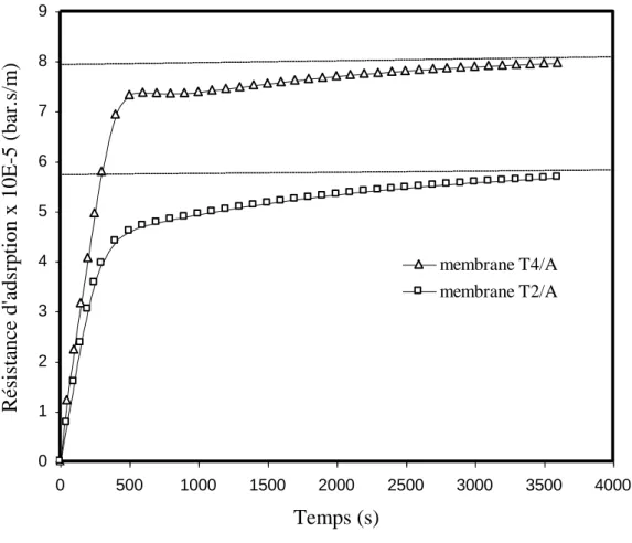 Figure  III.1 :  Résistance  d’adsorption  (R ads )  en  fonction  du  temps  pour  les  deux   membranes à 0.95 m/s 