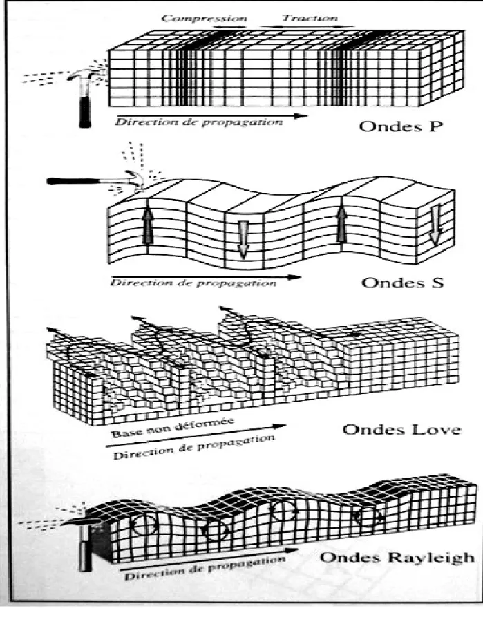 Figure . 1. 3) Les déférents types d’onde [1] 