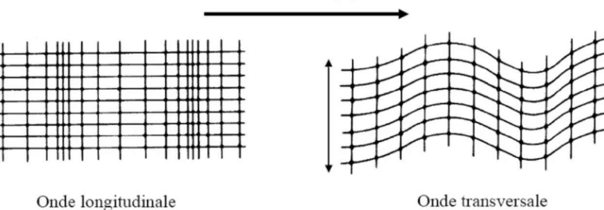 Figure 30 : Mouvement des particules dans un réseau sous l'action d'ondes L et T 