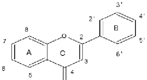 Figure 5.Structure chimique de la quercétine        Figure 6.Structure chimique de la catéchine                      