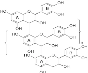 Figure 5. Structure de base des tanins condensés (Li, 2004). 