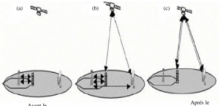 Figure I.9 : La diversité de signalisation