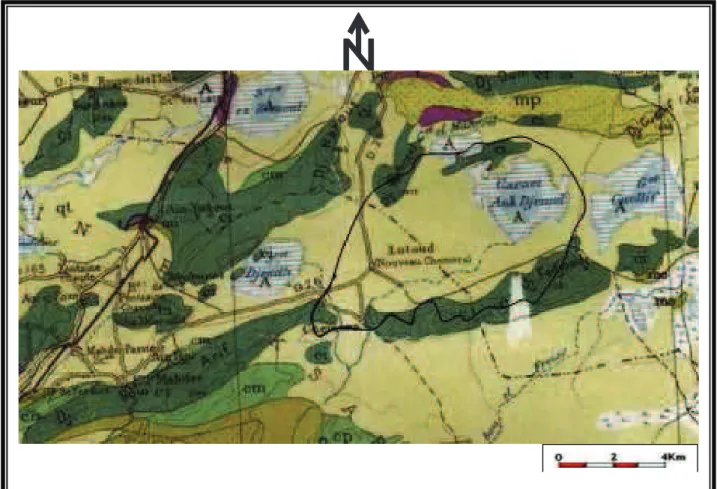 Fig n°6 : La carte géologique du sous bassin versant de Chemora. (Source : la carte  géologique de Batna)