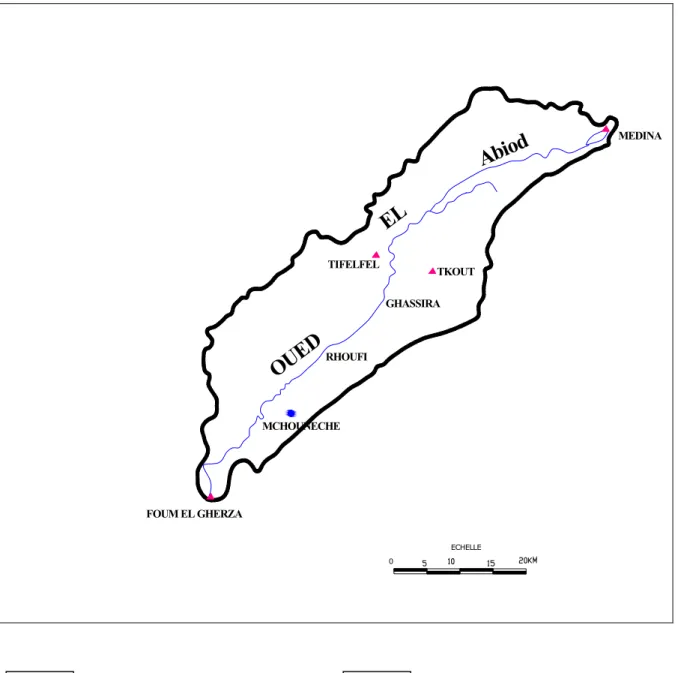 Fig .1.1.Présentation du bassin versant Oued El Abiod