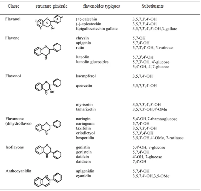 Tableau 3. Structure chimique de certains flavonoïdes représentatifs de chaque classe  (D’après Heim et al., 2002) 