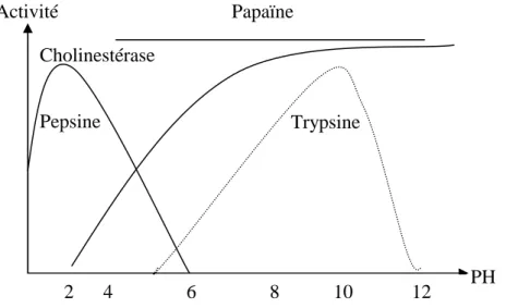 Figure I- 06 : Courbe présente l’effet de pH sur l’activité des enzymes.