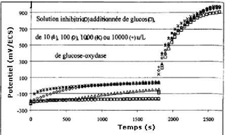 Fig. I I-1 : Evolution du potentiel (I = 0 / 30mm, puis 10 µA.cm -2  /15 mm) pour différentes teneurs en  glucose-oxydase ajoutée dans Ia solution inbibitrice a t = Oh.