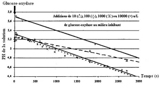 Fig. II-2 : Evolution du pH, en fonction du temps, pour différentes teneurs en glucose-oxydase
