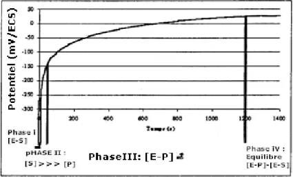 Fig. II-3 : Corrélation proposée entre la cinétique enzymatique et le potentiel de corrosion libre (solution  inhibitrice + 20 mM glucose + 1000 u /l glucose-oxydase)