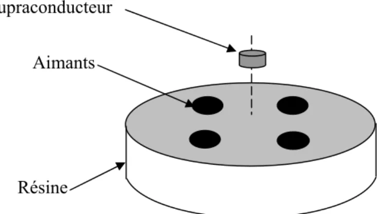 Figure I-2: Lévitation pastille de supraconducteur Y-Ba-Cu-O sur un groupe d'aimant. 