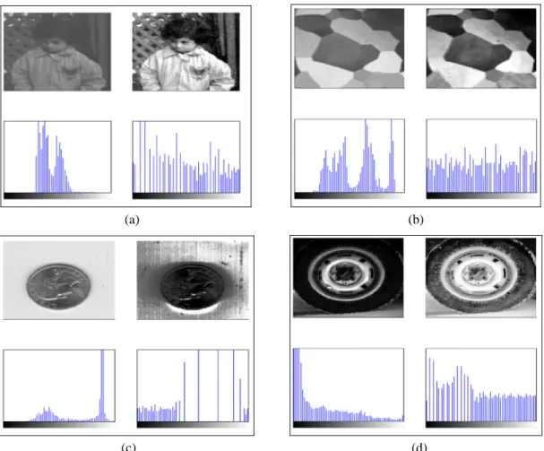 Fig. 3.4 [279]: Illustration of some histogram equalization examples. (a) Contrast enhancement.