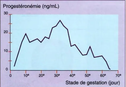 Figure 10. Variation de la progestéronémie chez la chatte au cours de la gestation [10].