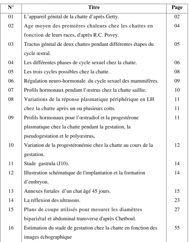 Illustration schématique de l'implantation et la formation  d’embryon.