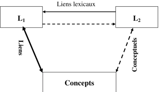 Figure 01: Modèle de la mémoire bilingue, d'après Kroll et Sholl 1992: 196.