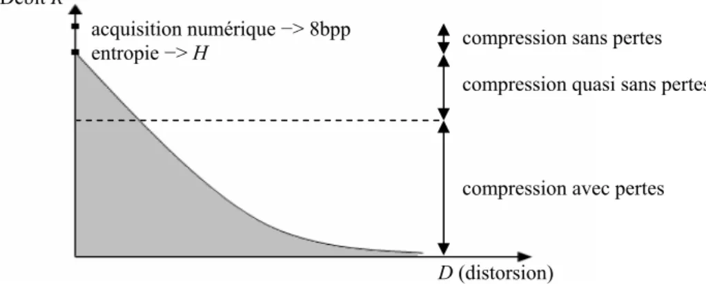 Figure I.9  Evolution théorique optimale du débit en fonction de la distorsion pour une  image 