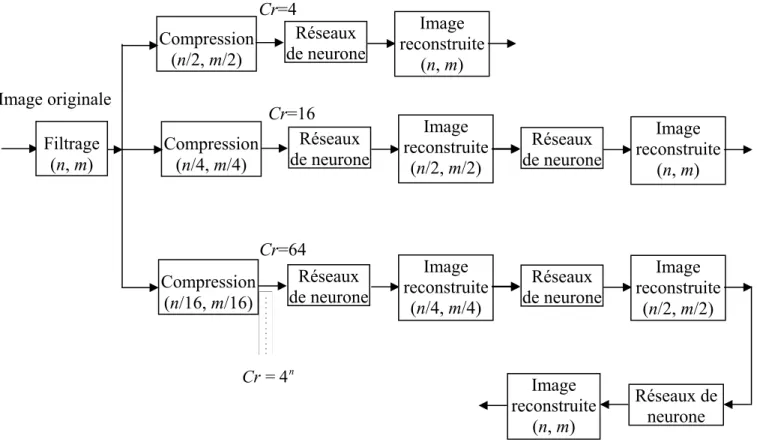 Figure II.5  Algorithme bloc de reconstruction Image originale Compression (n/2, m/2) Cr=4 Cr=16 Cr=4nFiltrage (n, m) Réseaux de neuroneImage reconstruite(n, m) Réseaux de neuroneImage reconstruite(n/2, m/2)  Réseaux  de neurone  Image  reconstruite(n, m) 