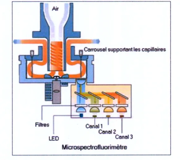 Figure 10. Le Light Cycler 