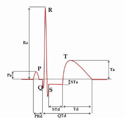 Figure 1.10. Ondes et intervalles de l'ECG.