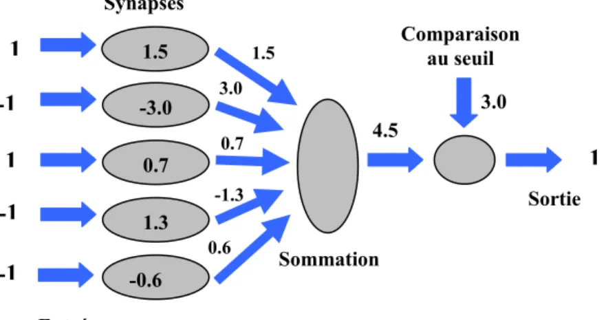 Figure 3.2 : Neurone Formel 