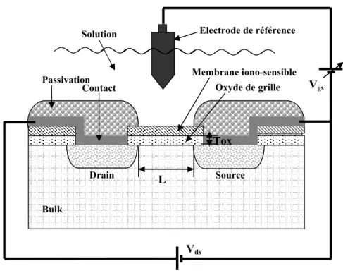 Fig I-1. Capteur chimique ChemFET   