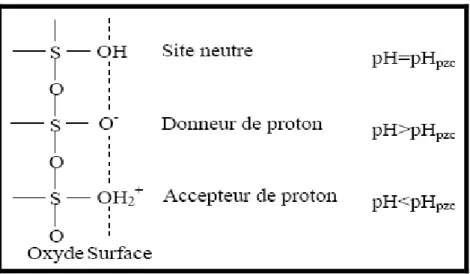 Fig I-3. Représentation schématique de la théorie du site-binding [3].