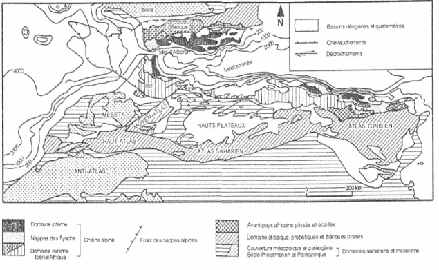 Figure I-4 : Cadre structural Africain et Ibérique de la chaîne Tello- Tello-rifaine (W.Wildi, 1983)