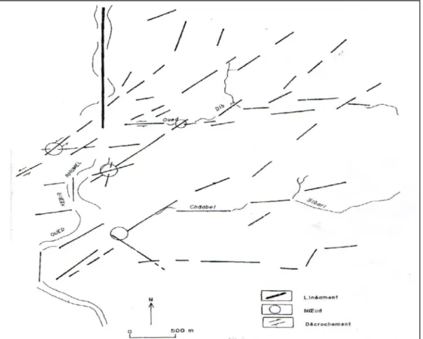 Figure I-8 : Esquisse tectonique de la région de Sibari