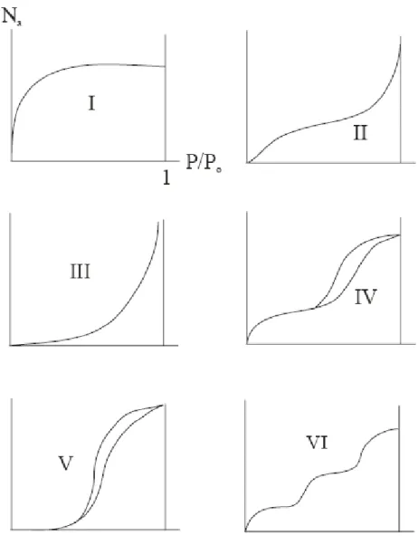 Figure 2.1 : Les différents types d’isothermes selon IUPAC [14] 