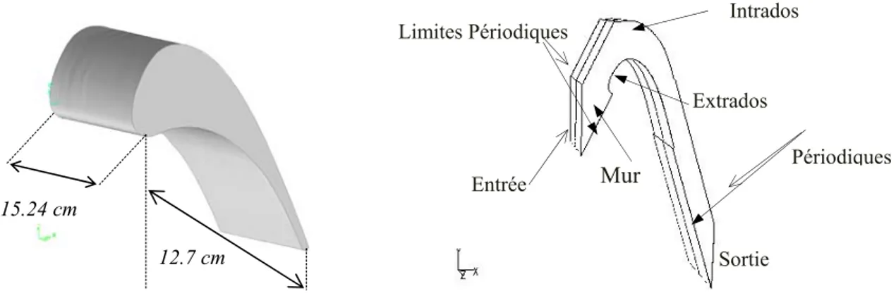 Fig. 2.3 Profil de l’aube-Géométrie et limites du domaine en trois dimensions. 