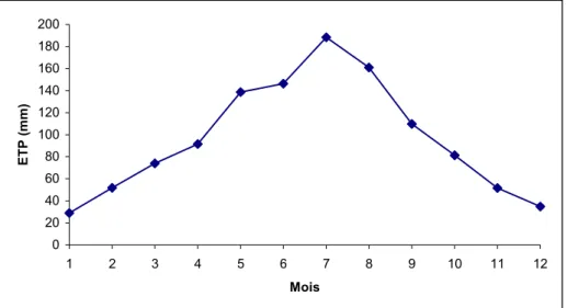 Tableau n°37: Calcul de l'ETP selon la formule de Turc à la station de Tébessa 