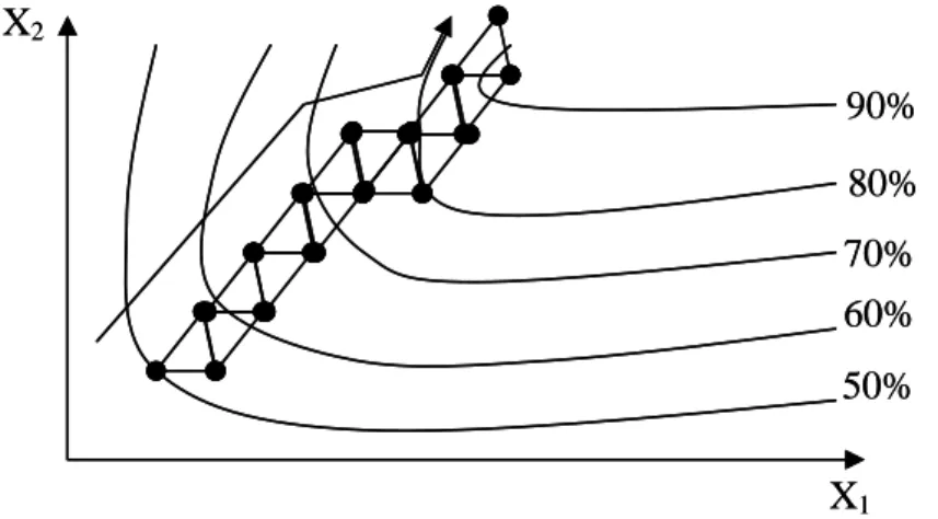 Figure 18 : Cheminement de la méthode du Simplex. [02] 