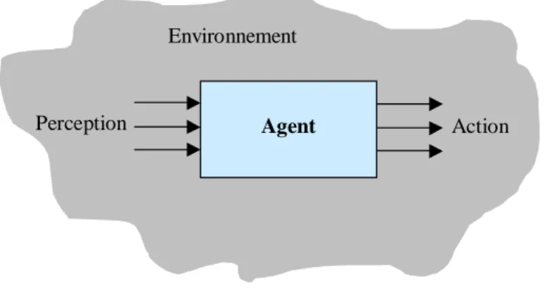 Figure .2.1. Aperçu externe et général d’un agent [17]