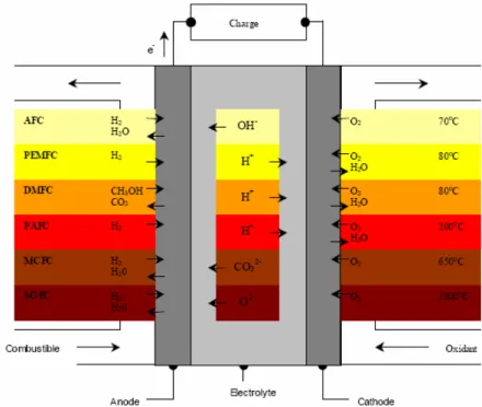 Figure 1.2: Différents types de piles à combustible suivant le type d’électrolyte 