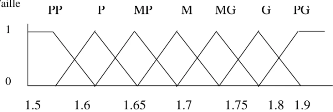 Fig. III.8 Fonction d'appartenance avec sept ensembles flous pour la variable  linguistique (Taille) 
