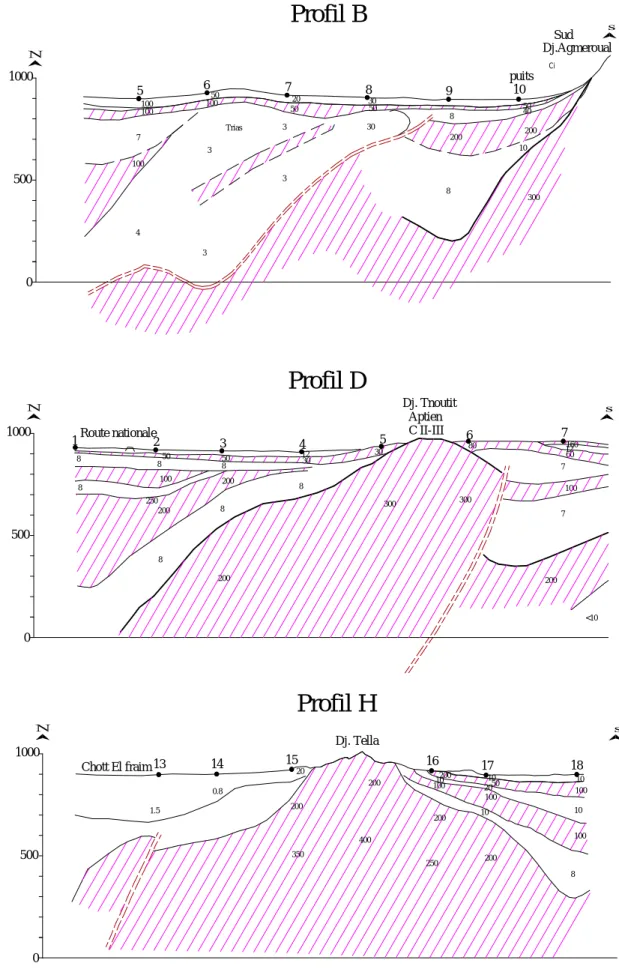 Figure 1.6.a – Coupes géoélectriques B, D, H.