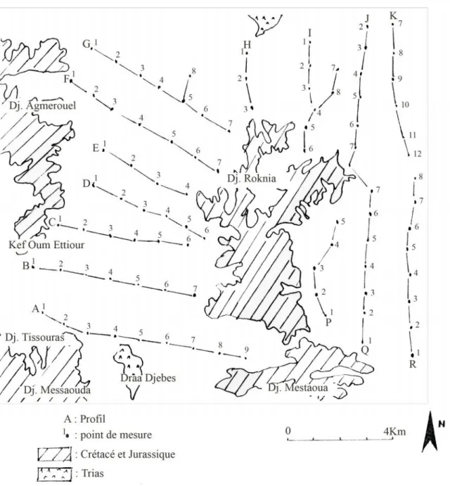 Figure 1.7 – Répartition des sondages électriques dans l’ensemble sud-sétifien (Partie Sud).