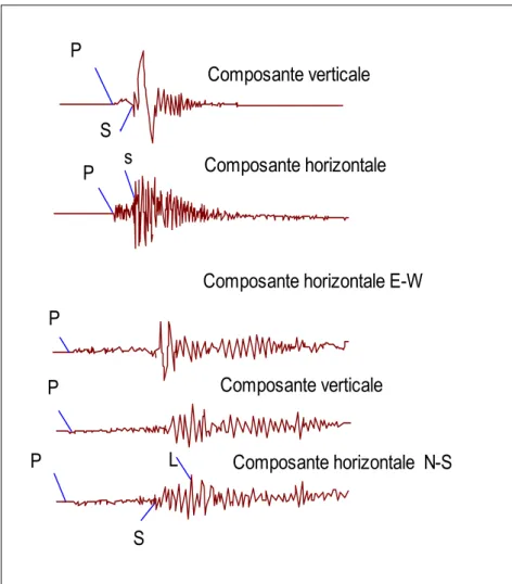 Figure 10 : Sismogrammes typiques de séismes proche et lointain. 