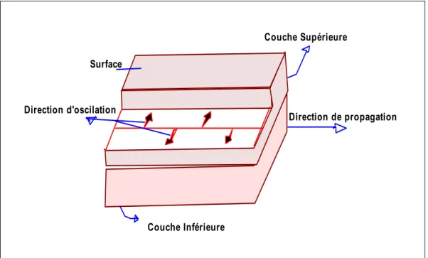 Figure 16 : Propagation de l’onde de Love. 