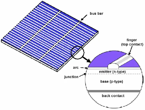 Fig. 1.10:  Structure of a typical crystalline silicon solar cell, [10] 